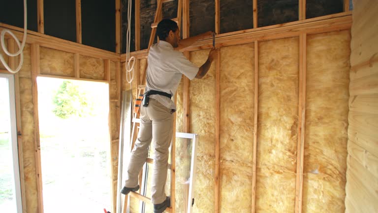 Best Crawl Space Insulation  in St Pauls, NC