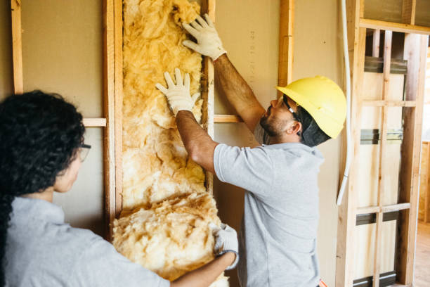 Best Insulation for New Construction  in St Pauls, NC