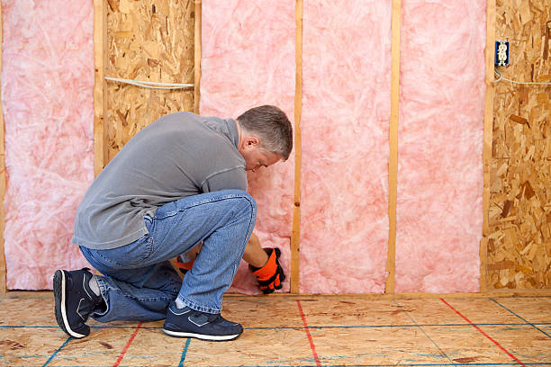 Best Attic Insulation Installation  in St Pauls, NC